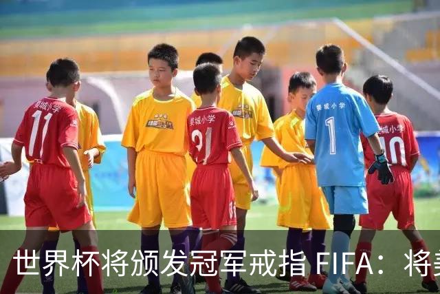 世界杯将颁发冠军戒指 FIFA：将美国传统引入足坛