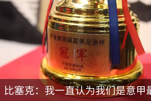 比塞克：我一直认为我们是意甲最强；德国队？我一直期待入选